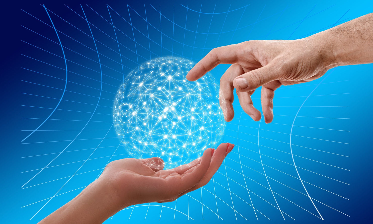 Network / Web Security | Products & Solutions